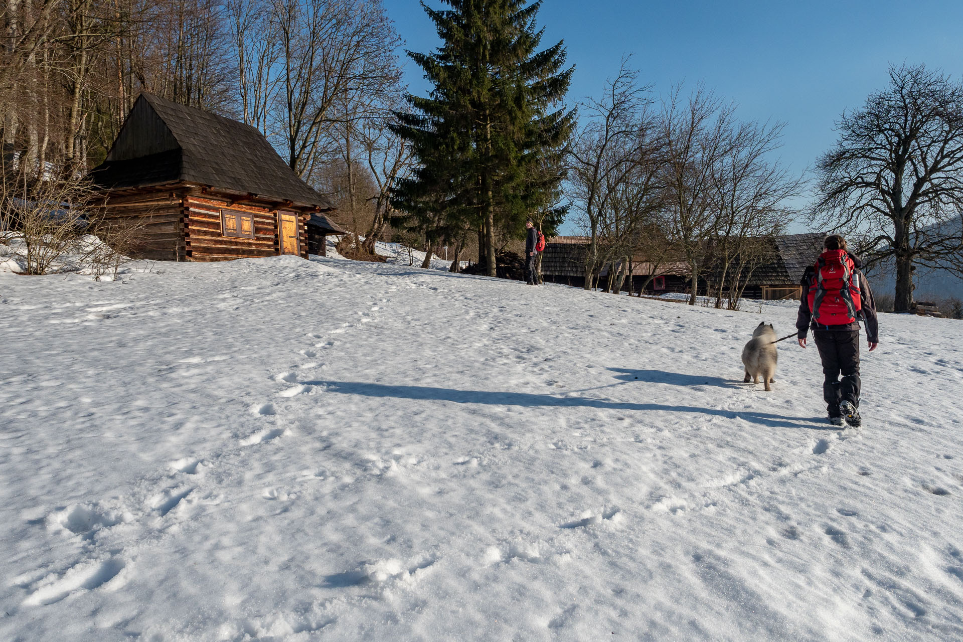 Šíp zo Stankovian (Veľká Fatra)