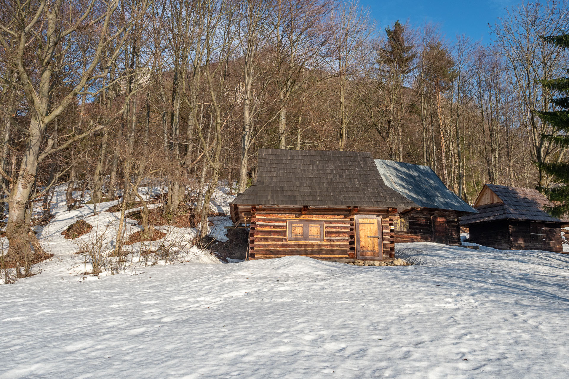 Šíp zo Stankovian (Veľká Fatra)