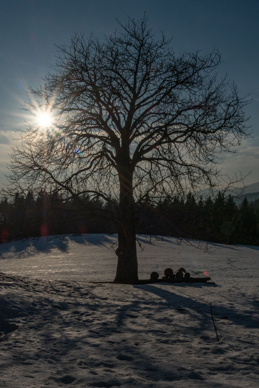 Šíp zo Stankovian (Veľká Fatra)