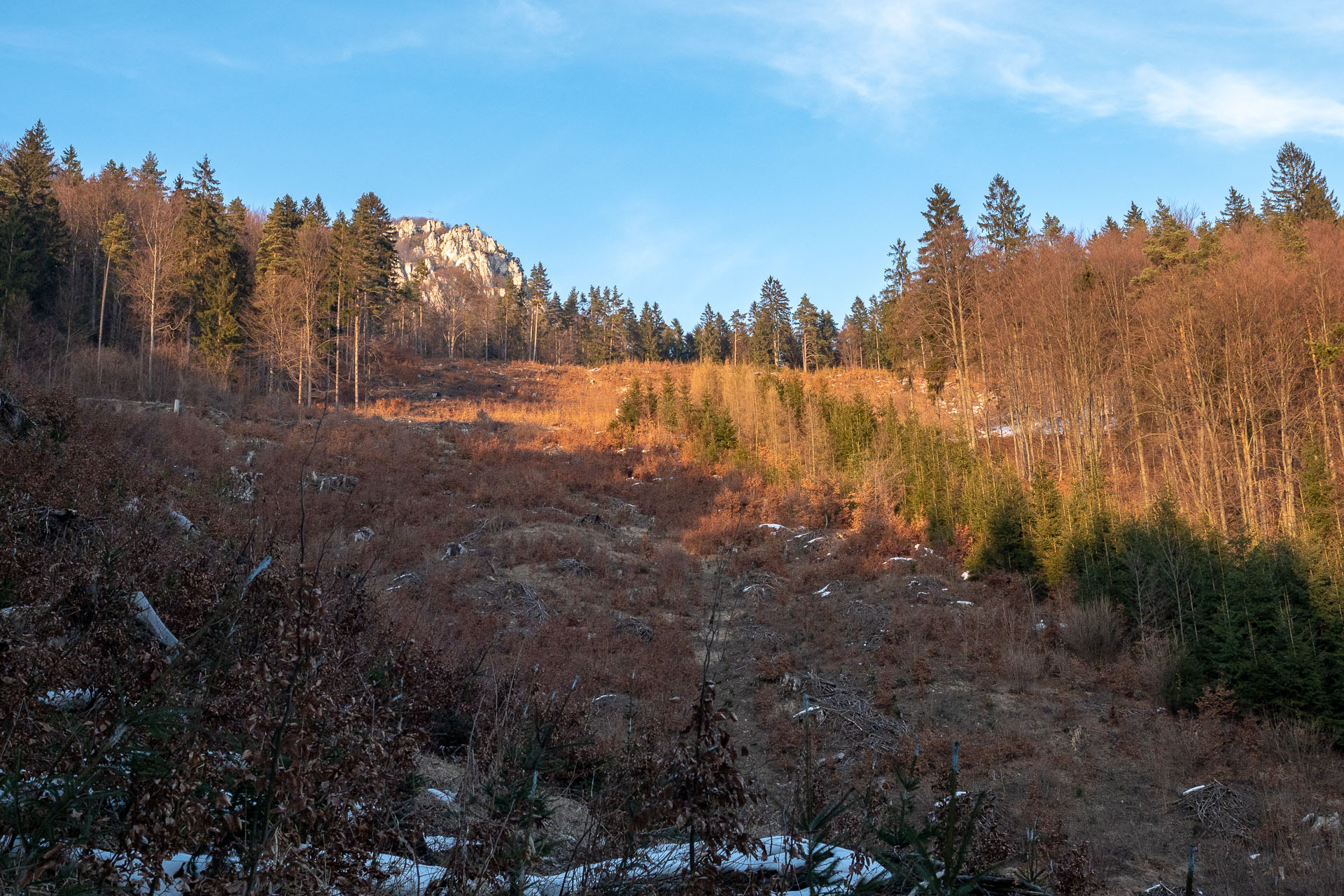 Šíp zo Stankovian (Veľká Fatra)