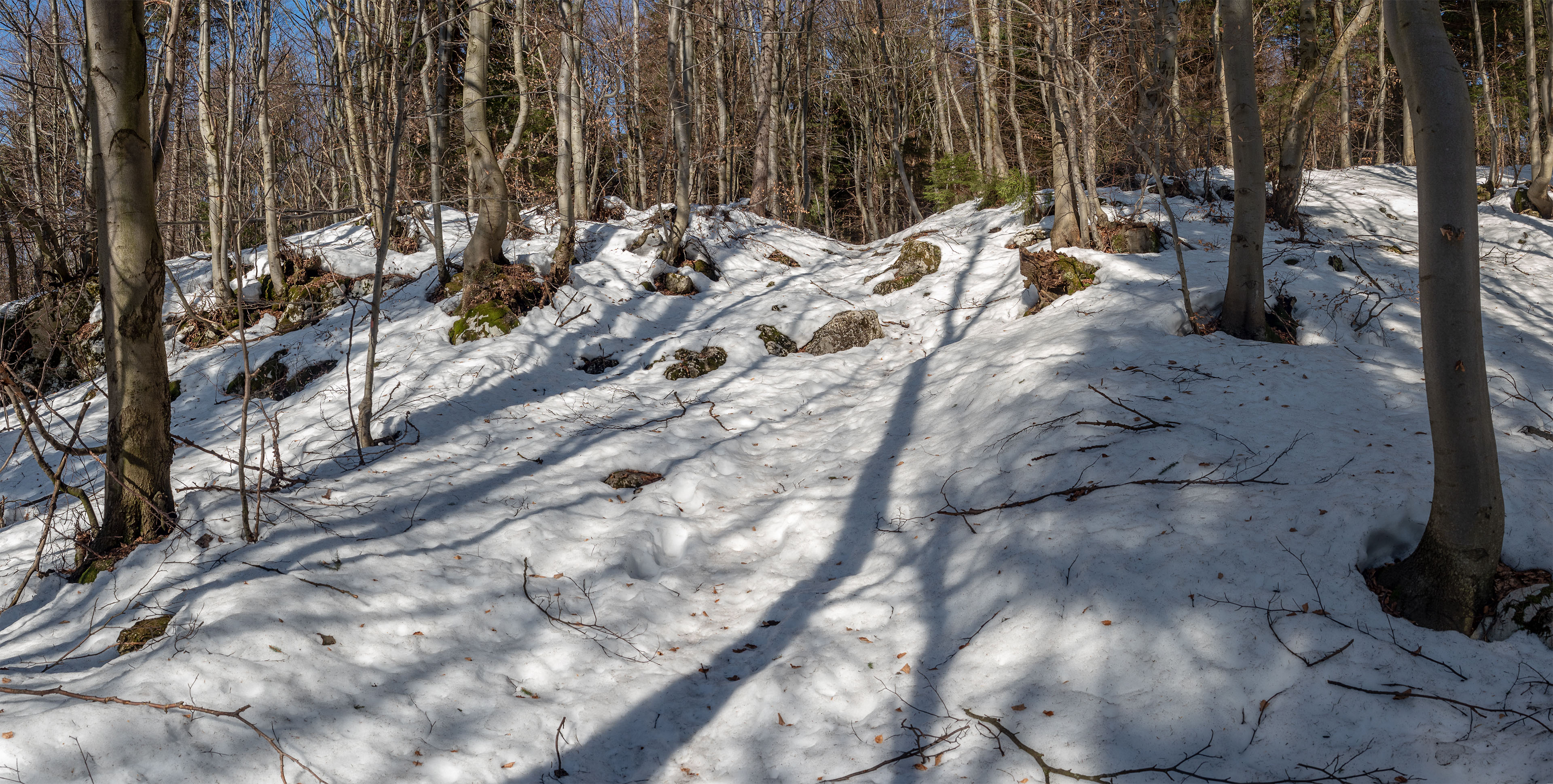 Šíp zo Stankovian (Veľká Fatra)