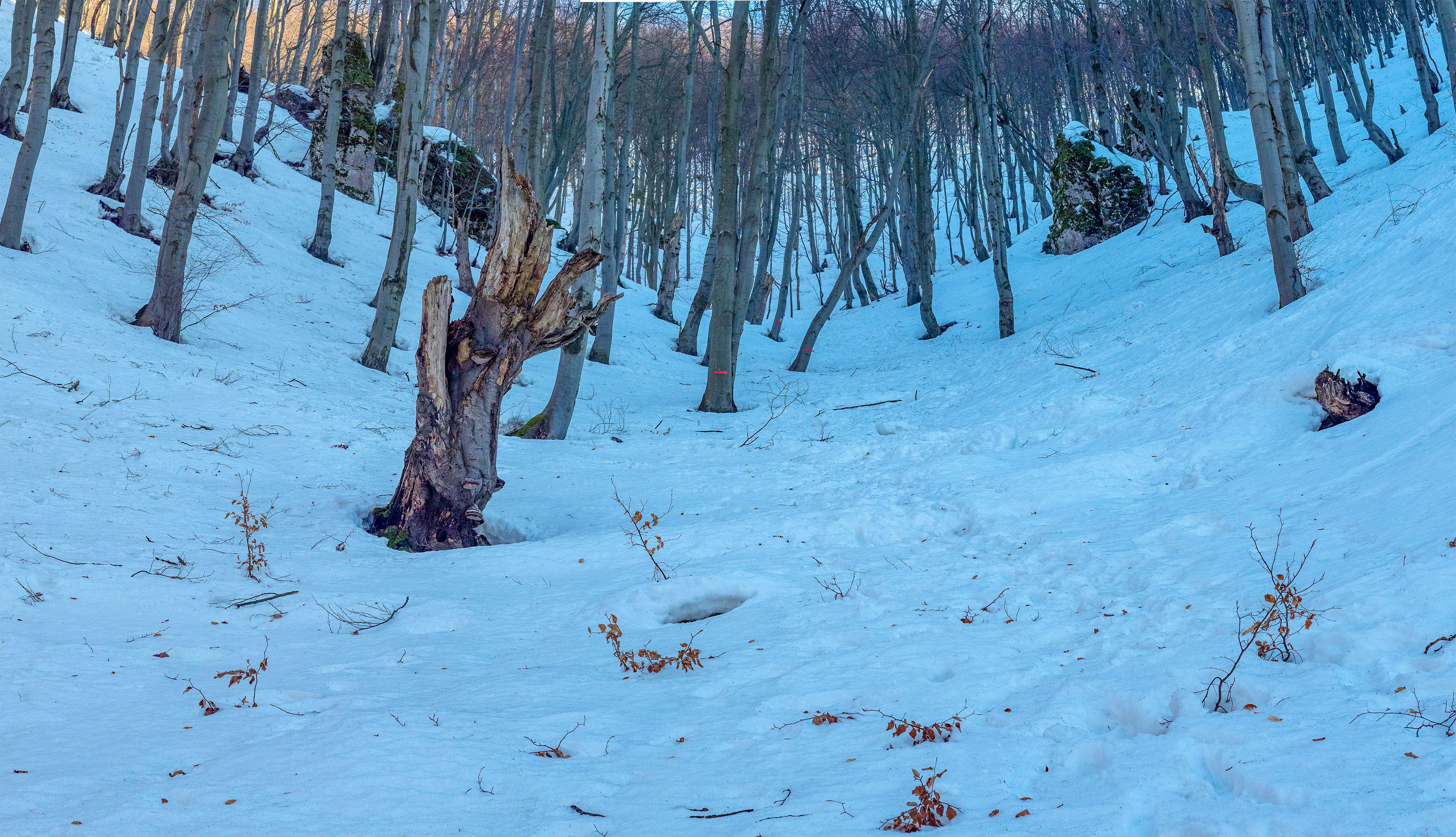 Šíp zo Stankovian (Veľká Fatra)