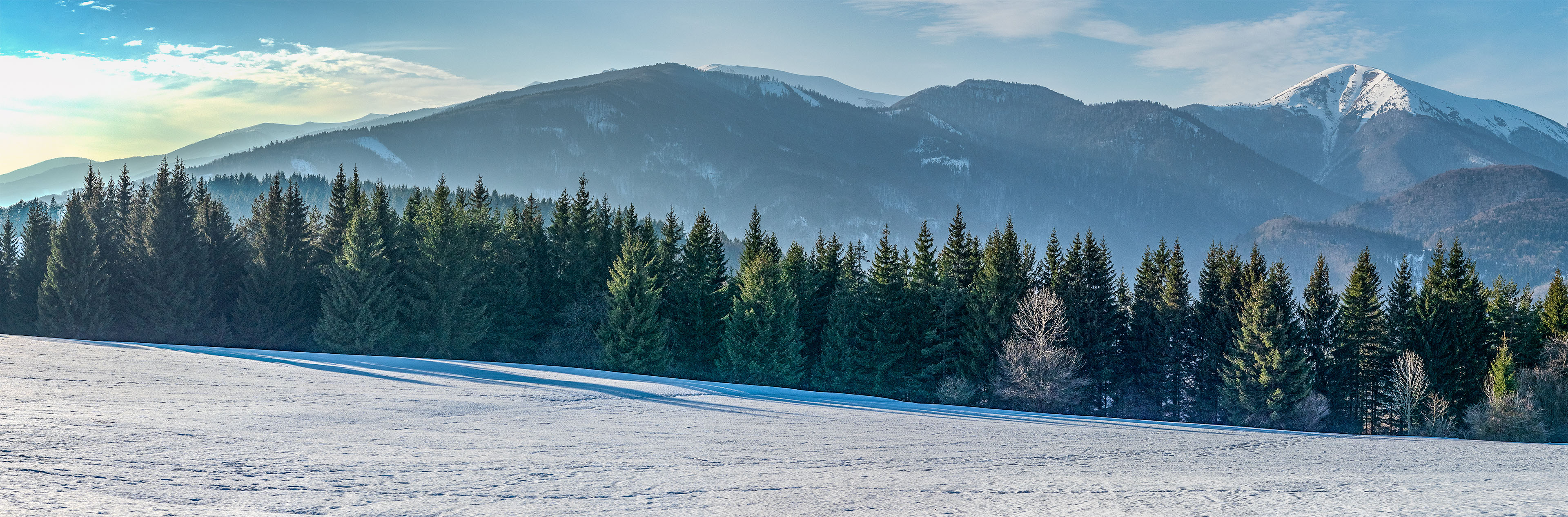 Šíp zo Stankovian (Veľká Fatra)