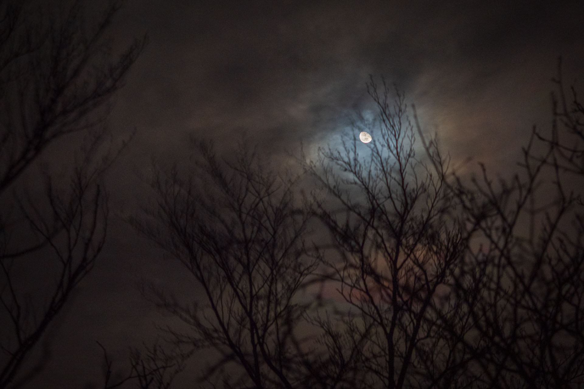 Sivec a Drienkova skala s nocľahom (Čierna hora)