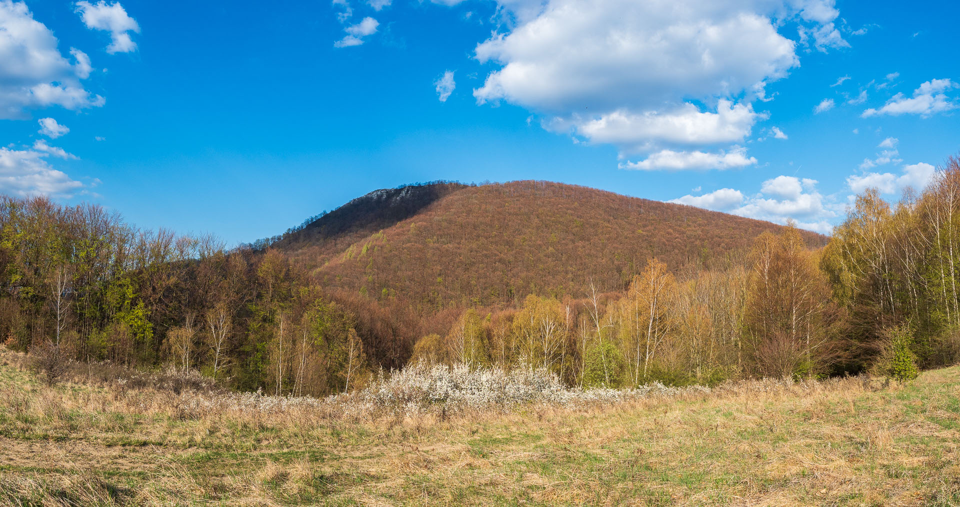 Sivec od Ružína (Čierna hora)