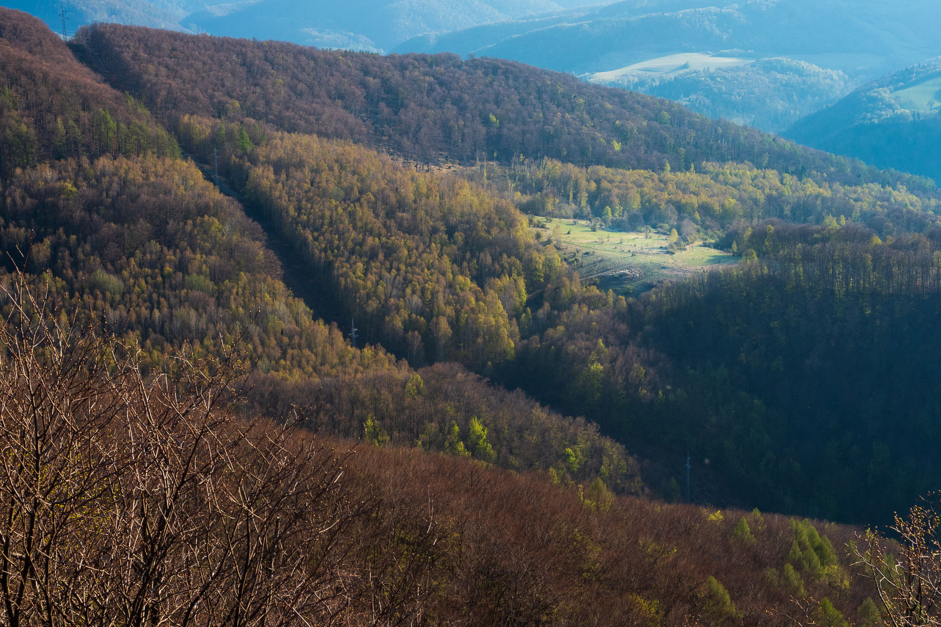 Sivec od Ružína (Čierna hora)