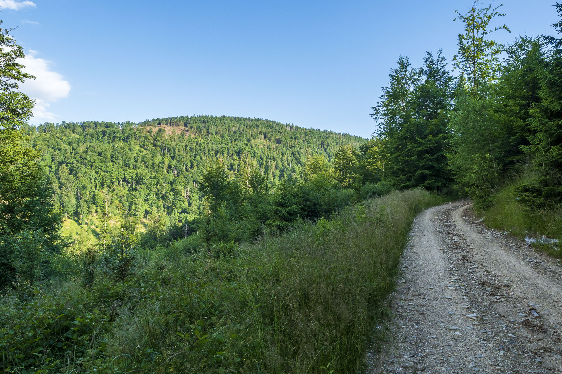 Skalisko z Henclovej (Volovské vrchy)