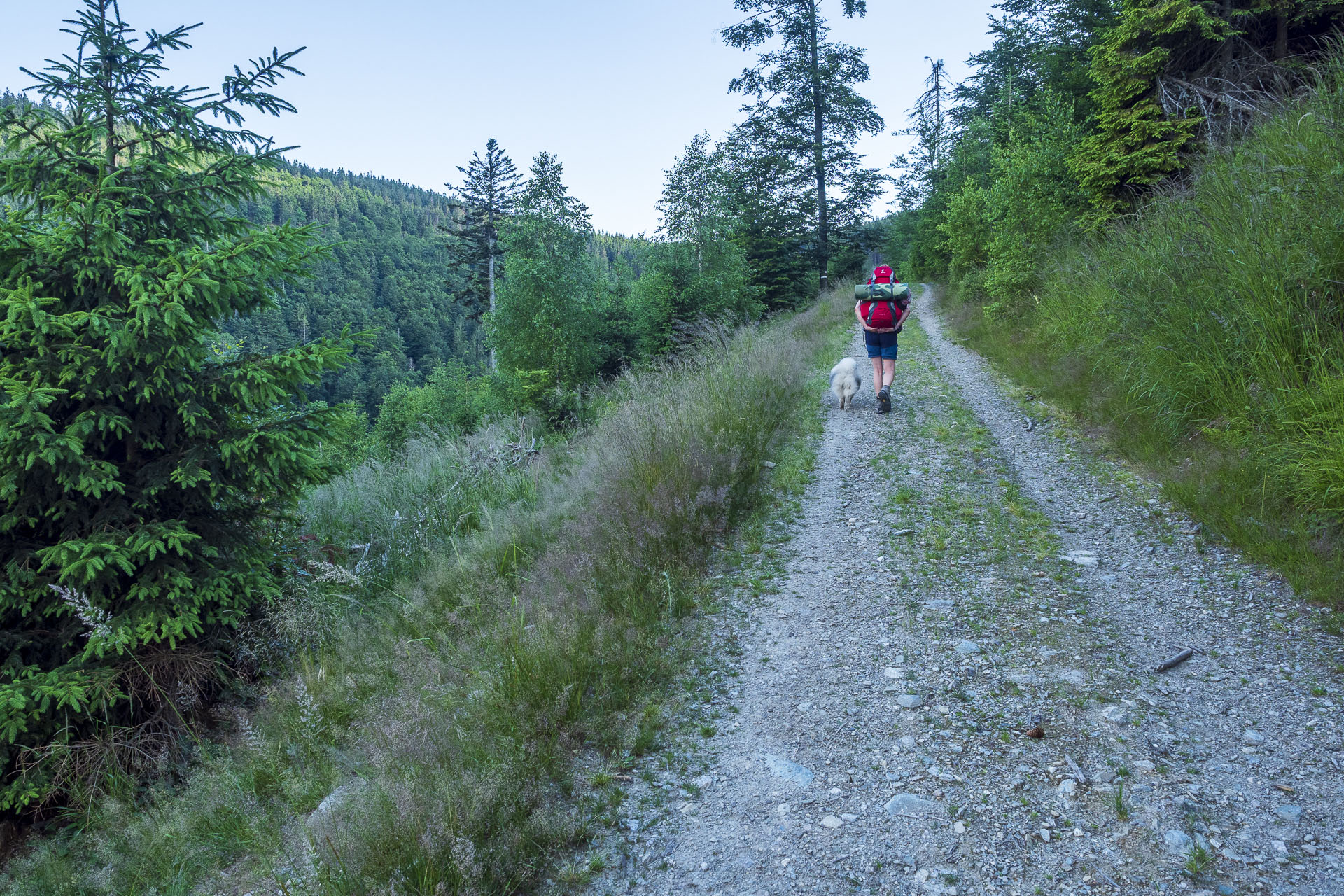 Skalisko z Henclovej (Volovské vrchy)