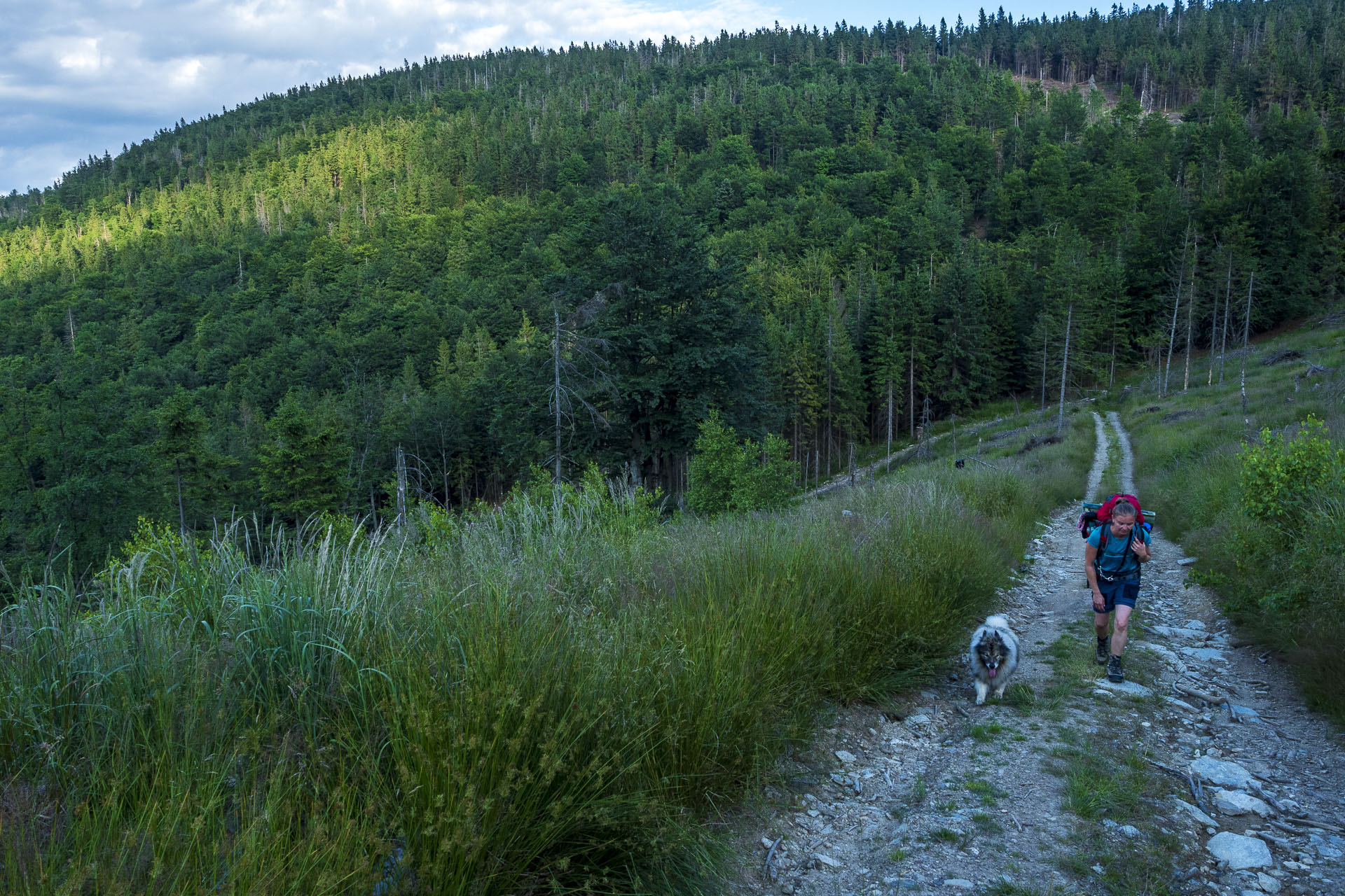 Skalisko z Henclovej (Volovské vrchy)