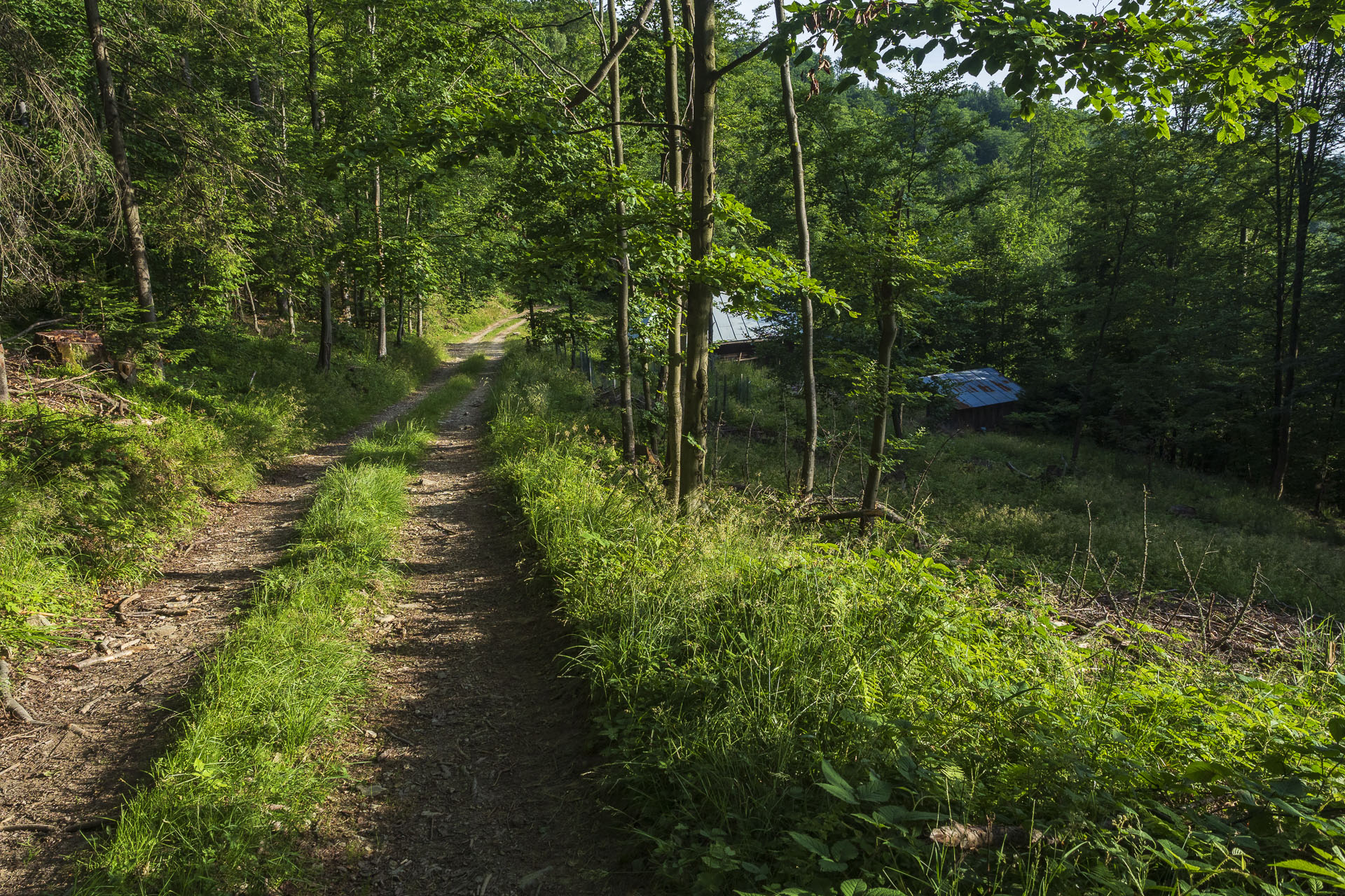 Skalisko z Henclovej (Volovské vrchy)