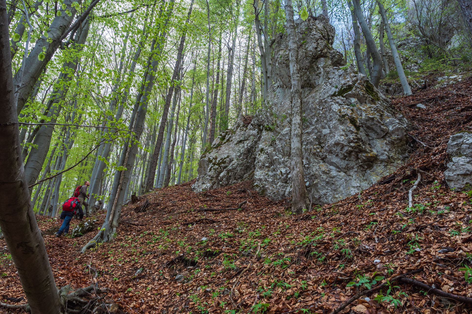 Slovinská a Biela skala zo Sloviniek (Volovské vrchy)