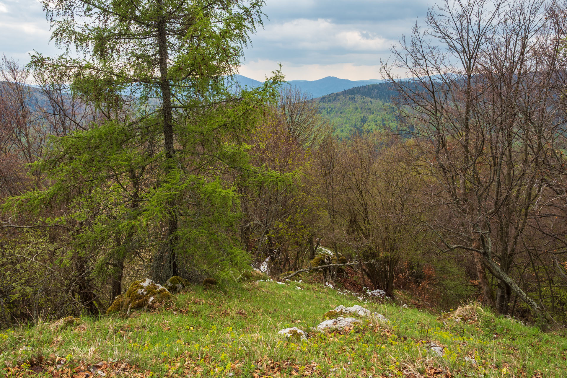 Slovinská a Biela skala zo Sloviniek (Volovské vrchy)