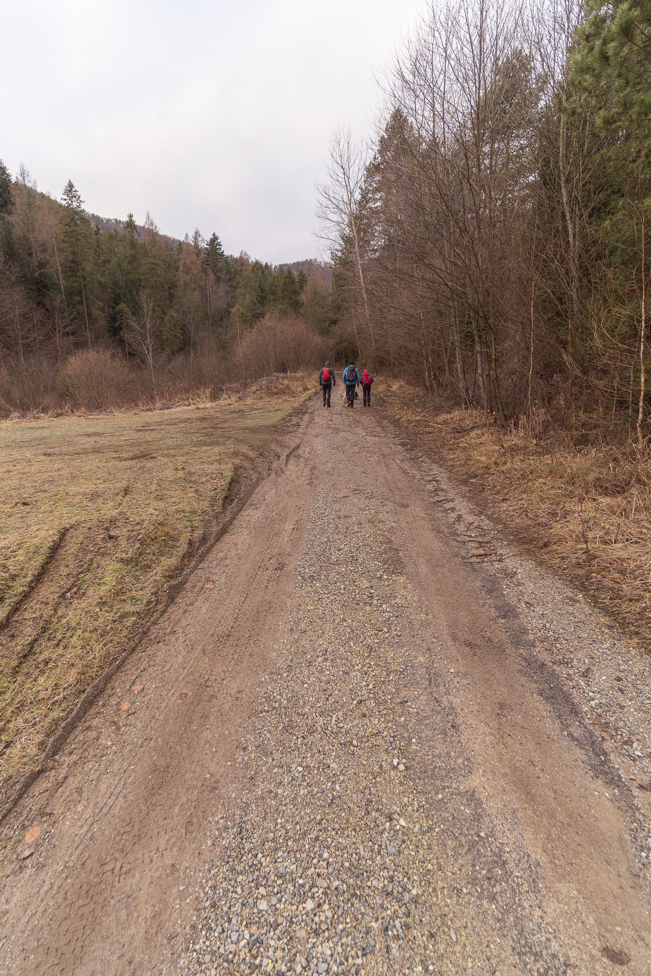 Sľubica od motorestu Branisko (Branisko a Bachureň)