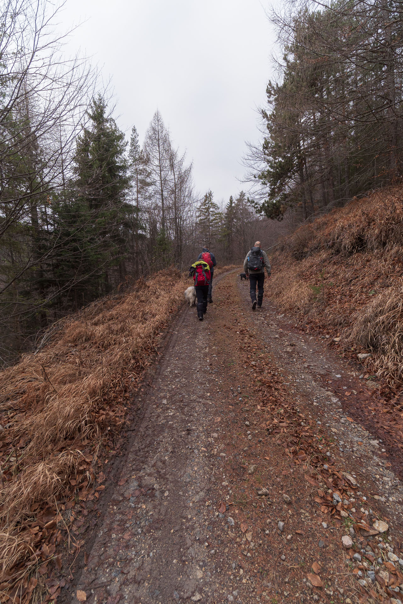 Sľubica od motorestu Branisko (Branisko a Bachureň)