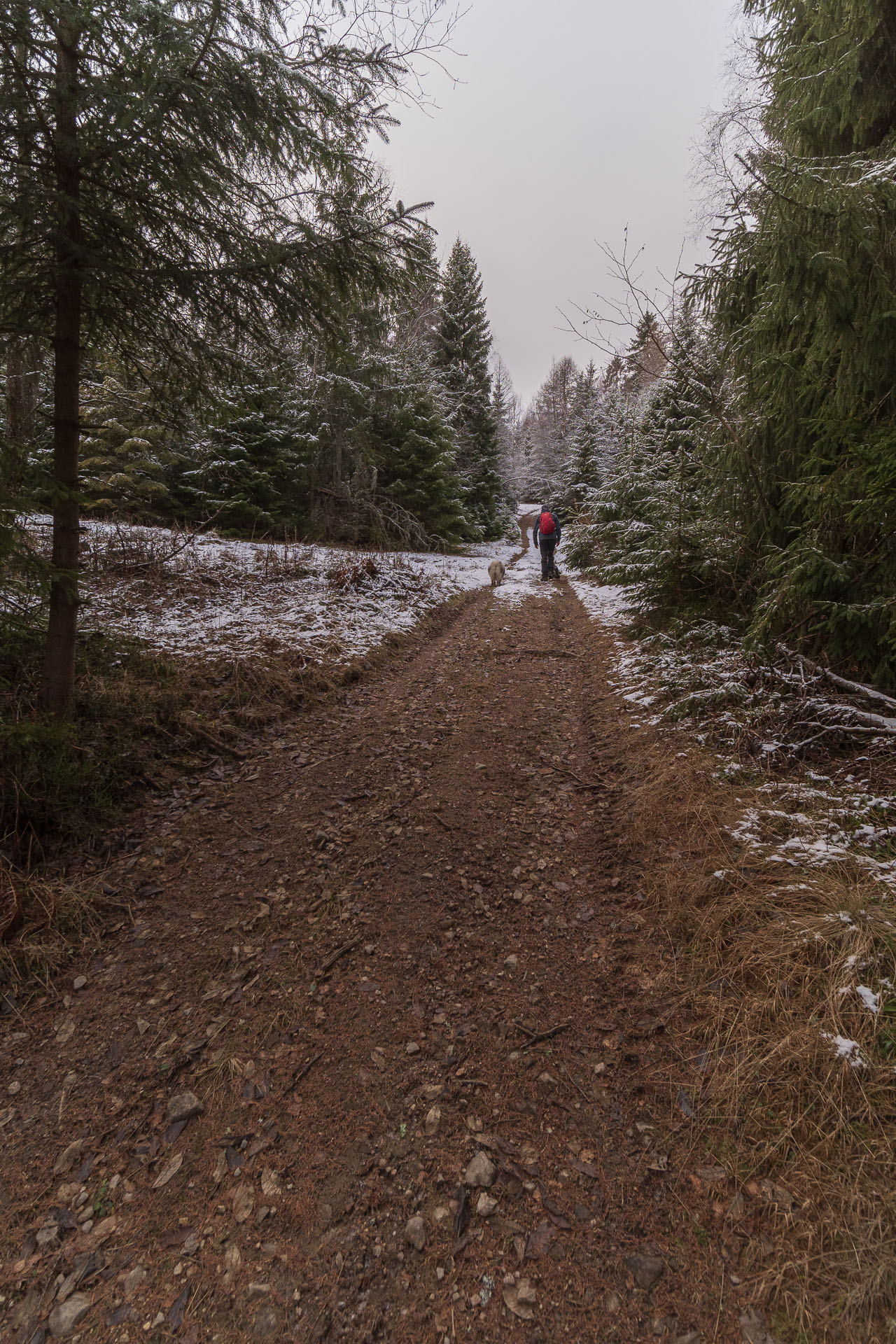 Sľubica od motorestu Branisko (Branisko a Bachureň)