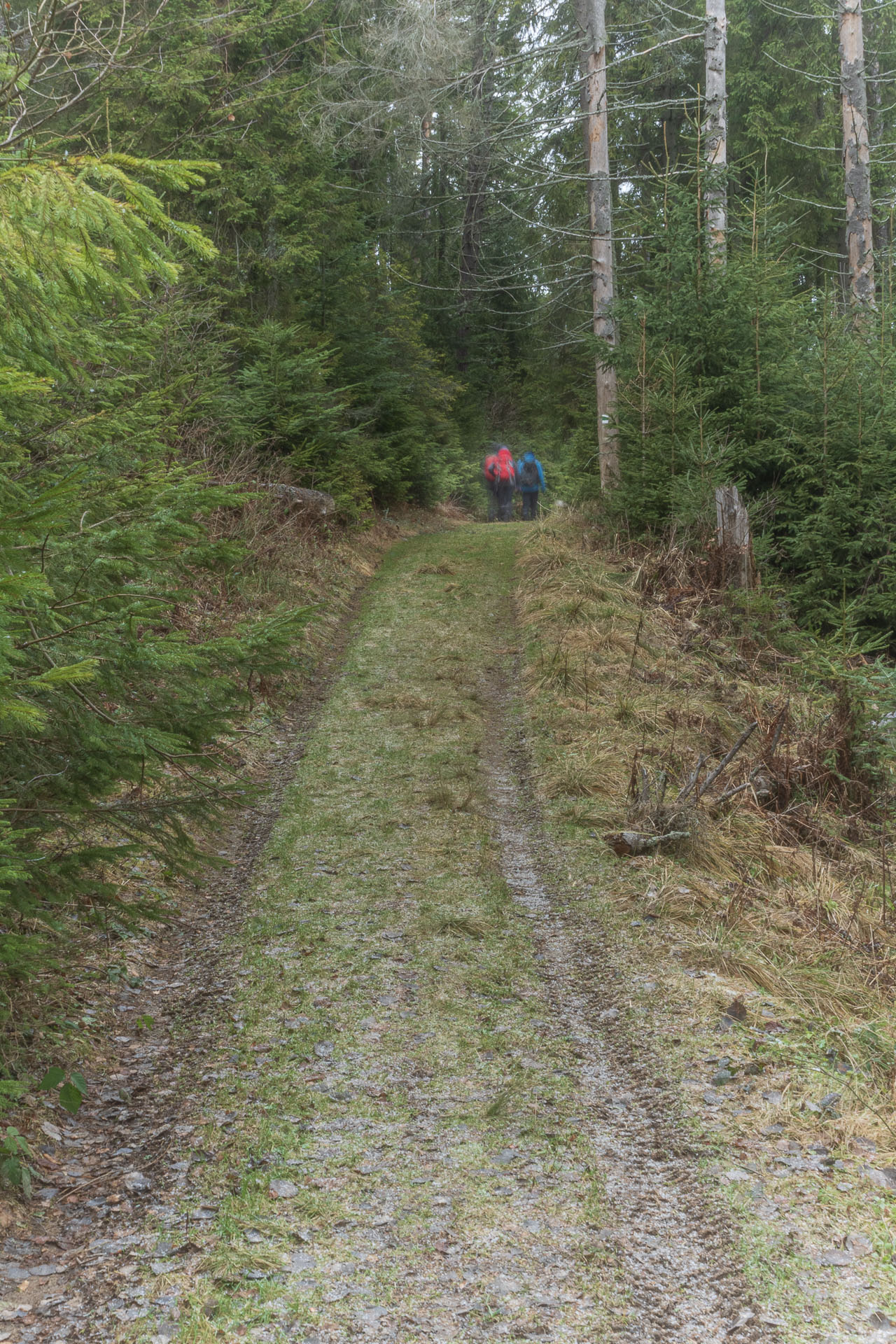 Sľubica od motorestu Branisko (Branisko a Bachureň)