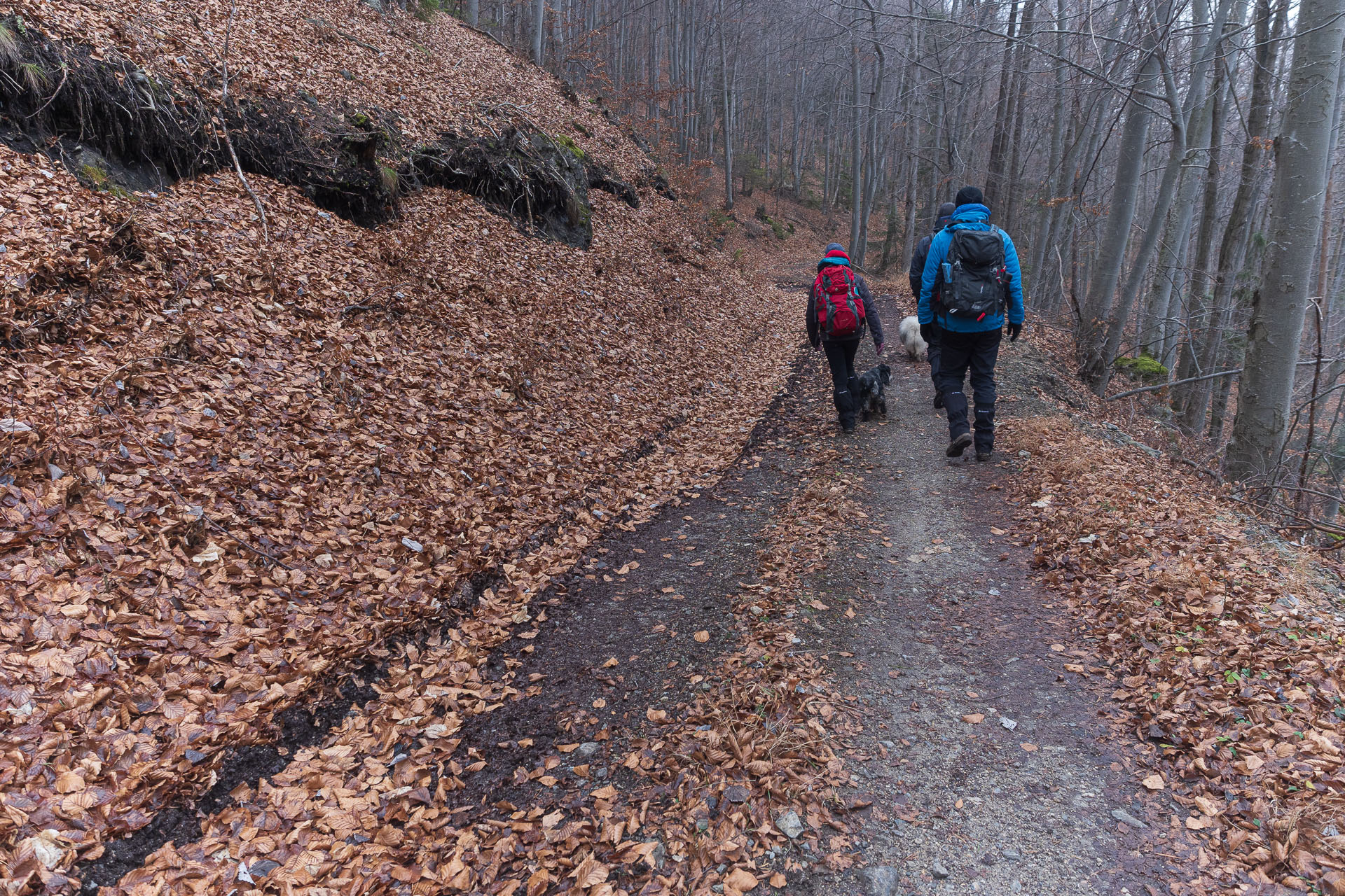 Sľubica od motorestu Branisko (Branisko a Bachureň)