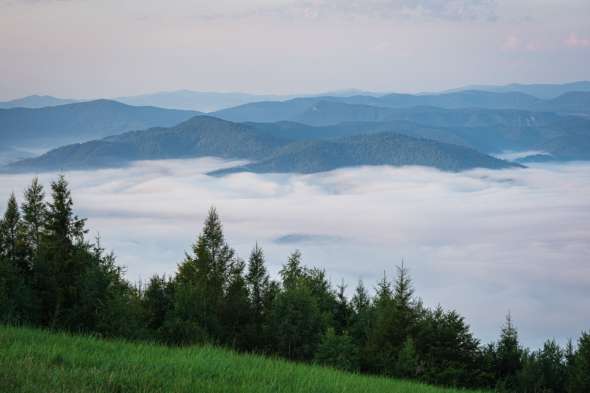 Sľubica zo Slatviny (Branisko a Bachureň)