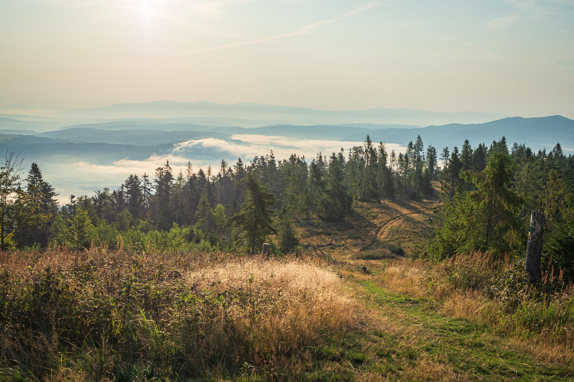 Sľubica zo Slatviny (Branisko a Bachureň)