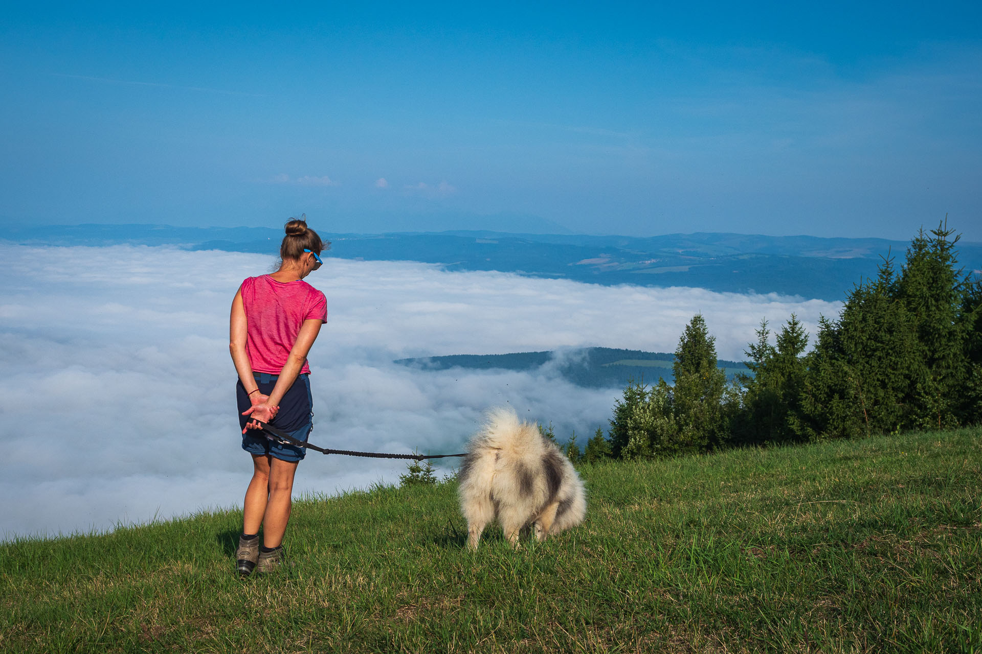 Sľubica zo Slatviny (Branisko a Bachureň)