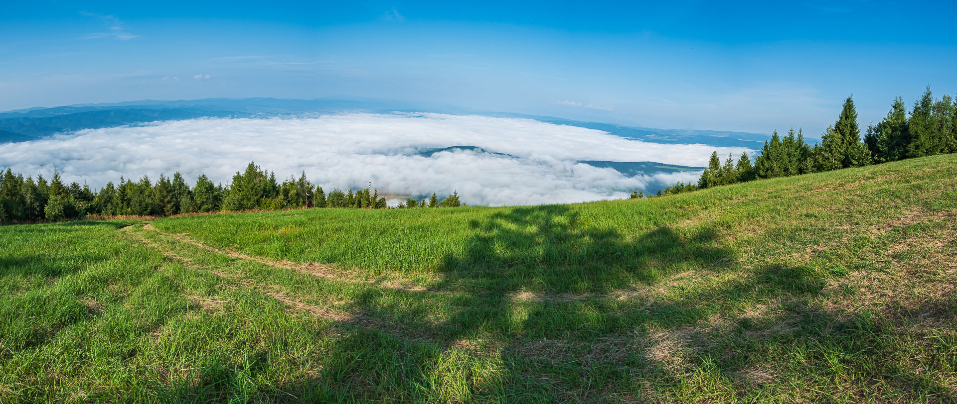 Sľubica zo Slatviny (Branisko a Bachureň)