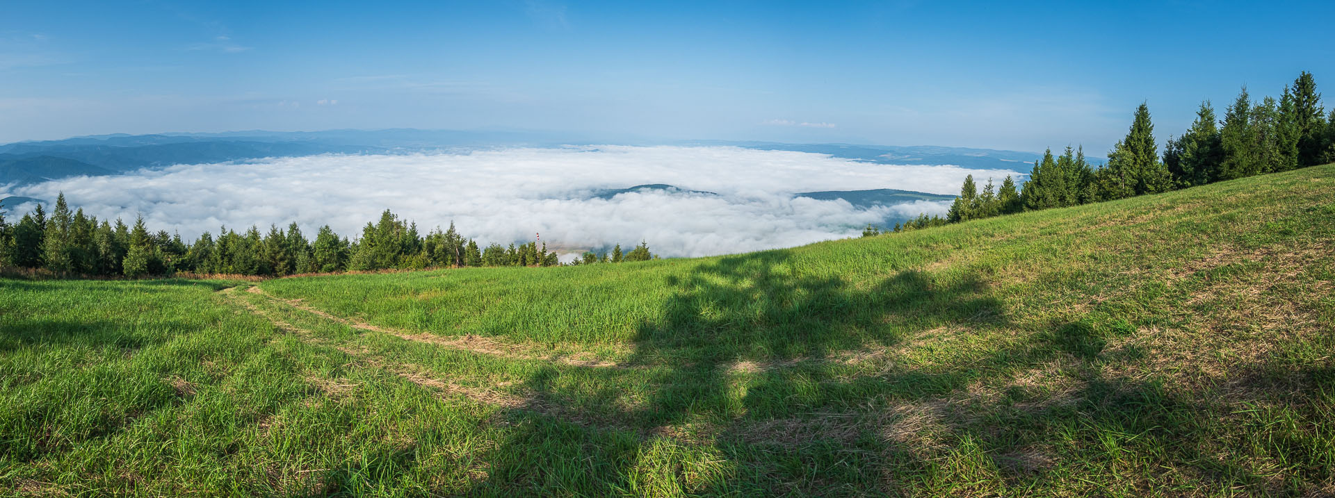 Sľubica zo Slatviny (Branisko a Bachureň)