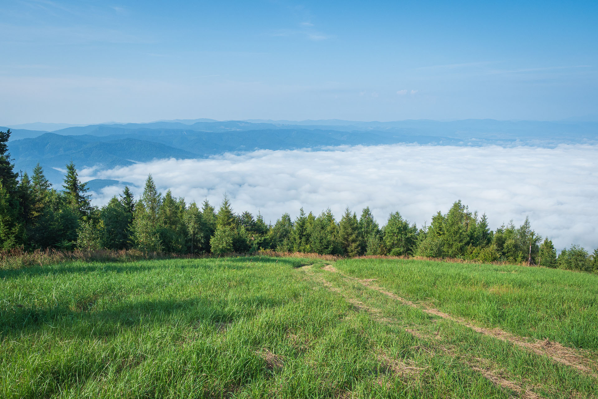 Sľubica zo Slatviny (Branisko a Bachureň)