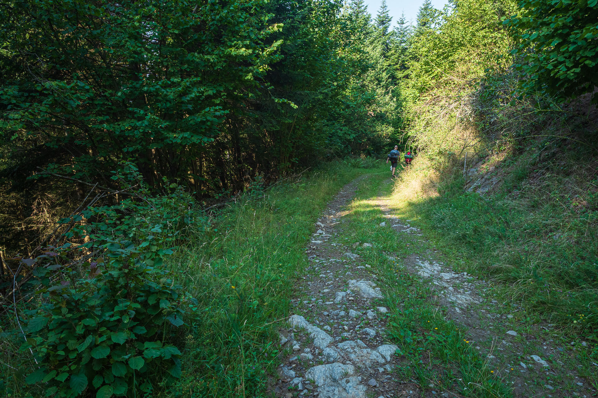 Sľubica zo Slatviny (Branisko a Bachureň)