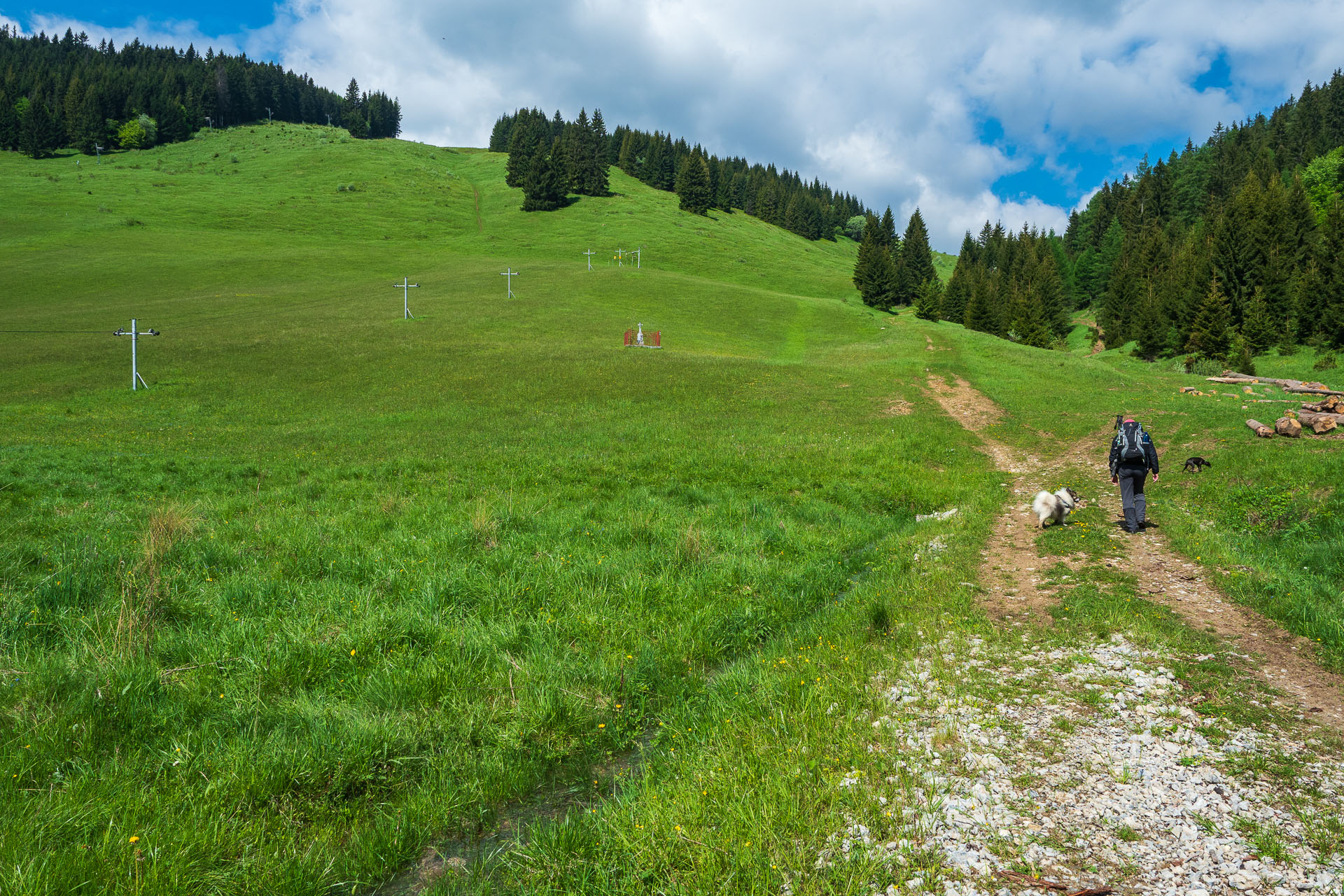 Smrečiny z Liptovskej Tepličky (Nízke Tatry)