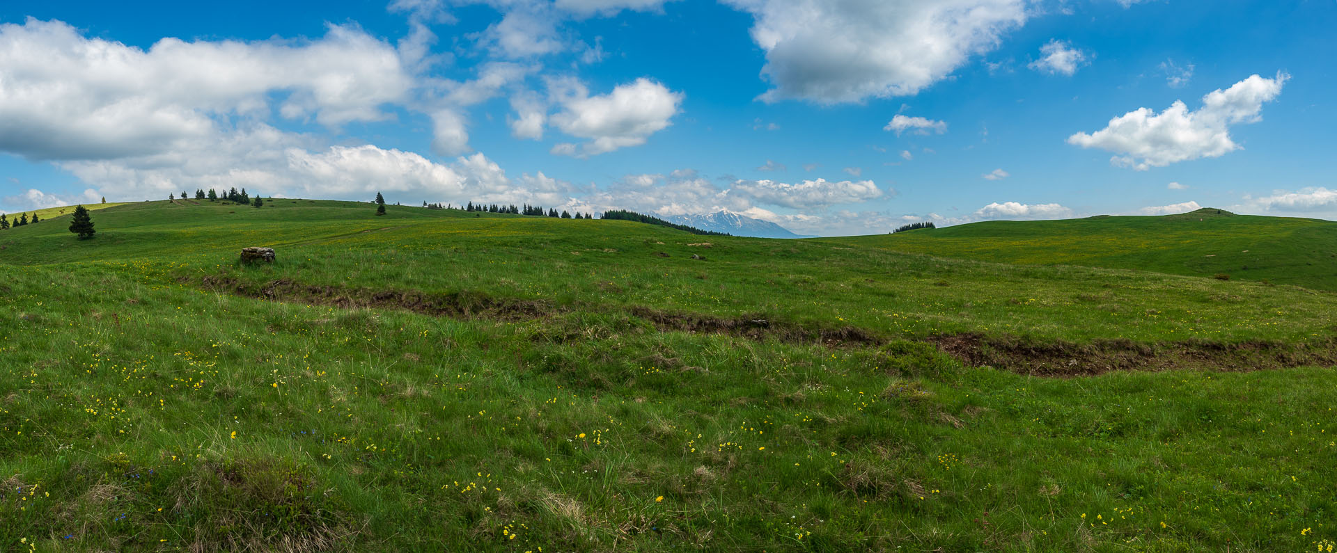 Smrečiny z Liptovskej Tepličky (Nízke Tatry)