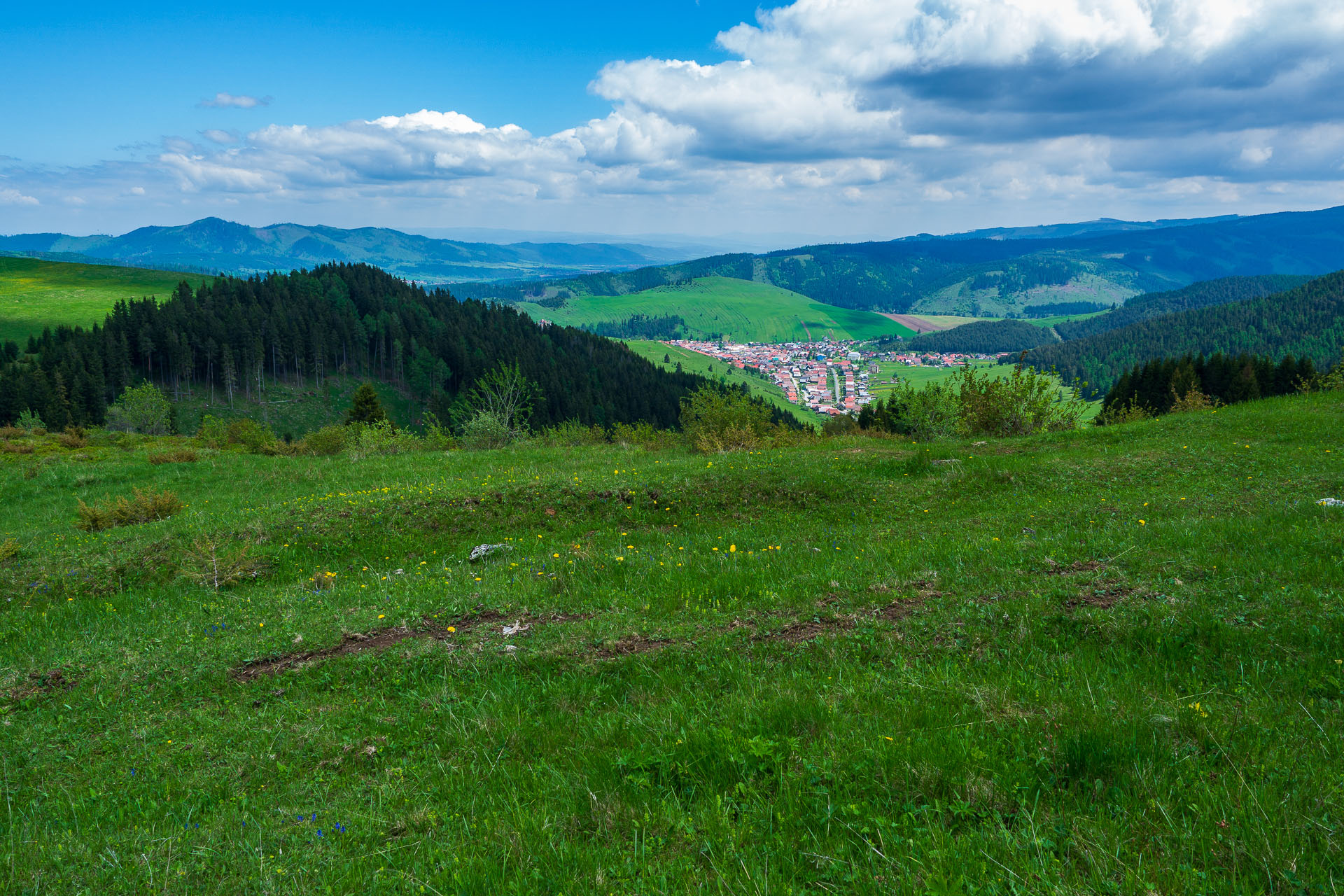 Smrečiny z Liptovskej Tepličky (Nízke Tatry)