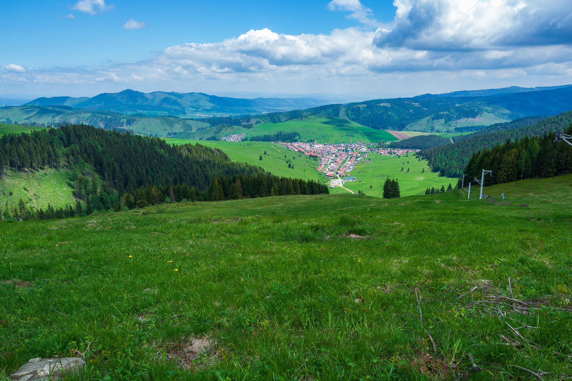 Smrečiny z Liptovskej Tepličky (Nízke Tatry)