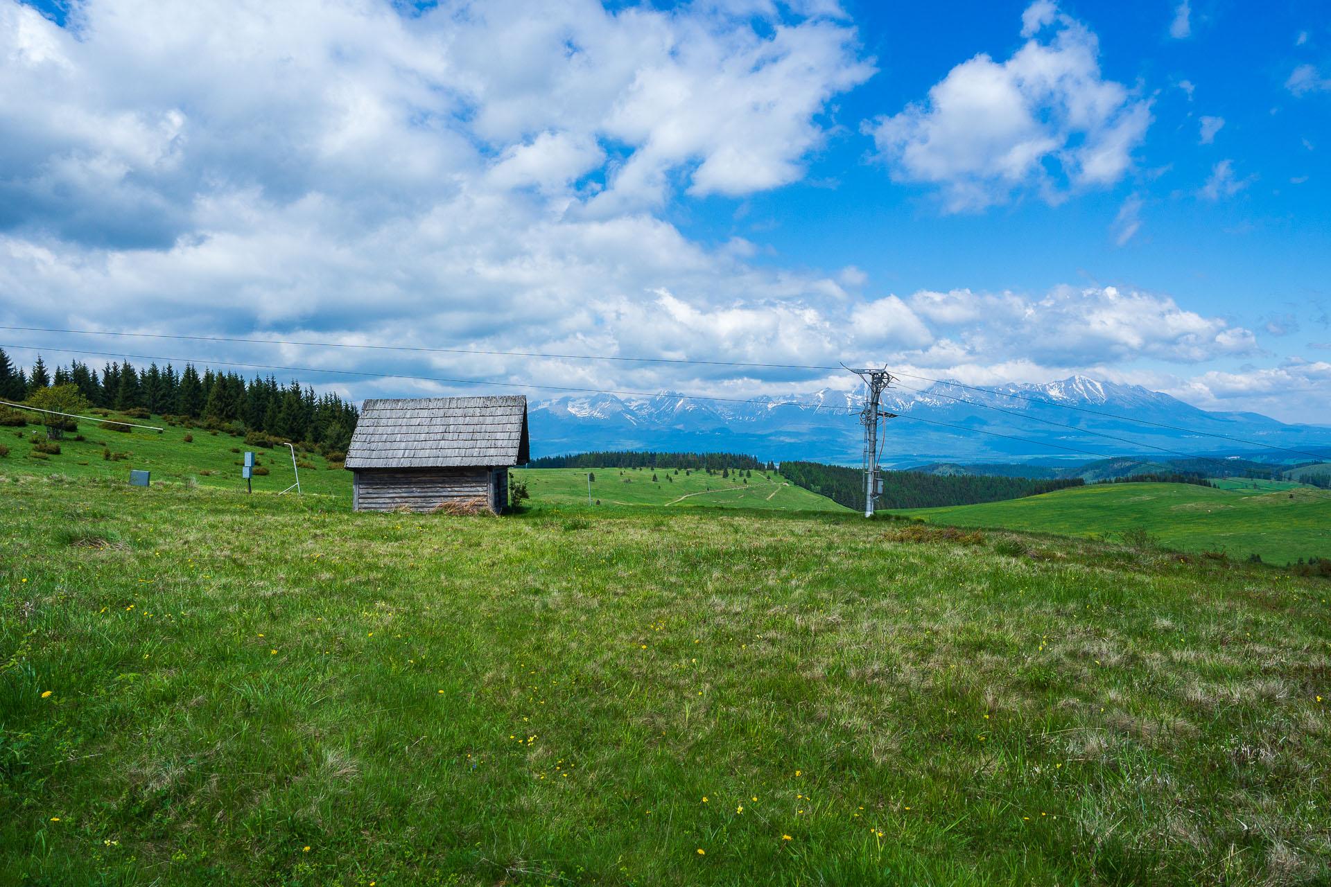 Smrečiny z Liptovskej Tepličky (Nízke Tatry)