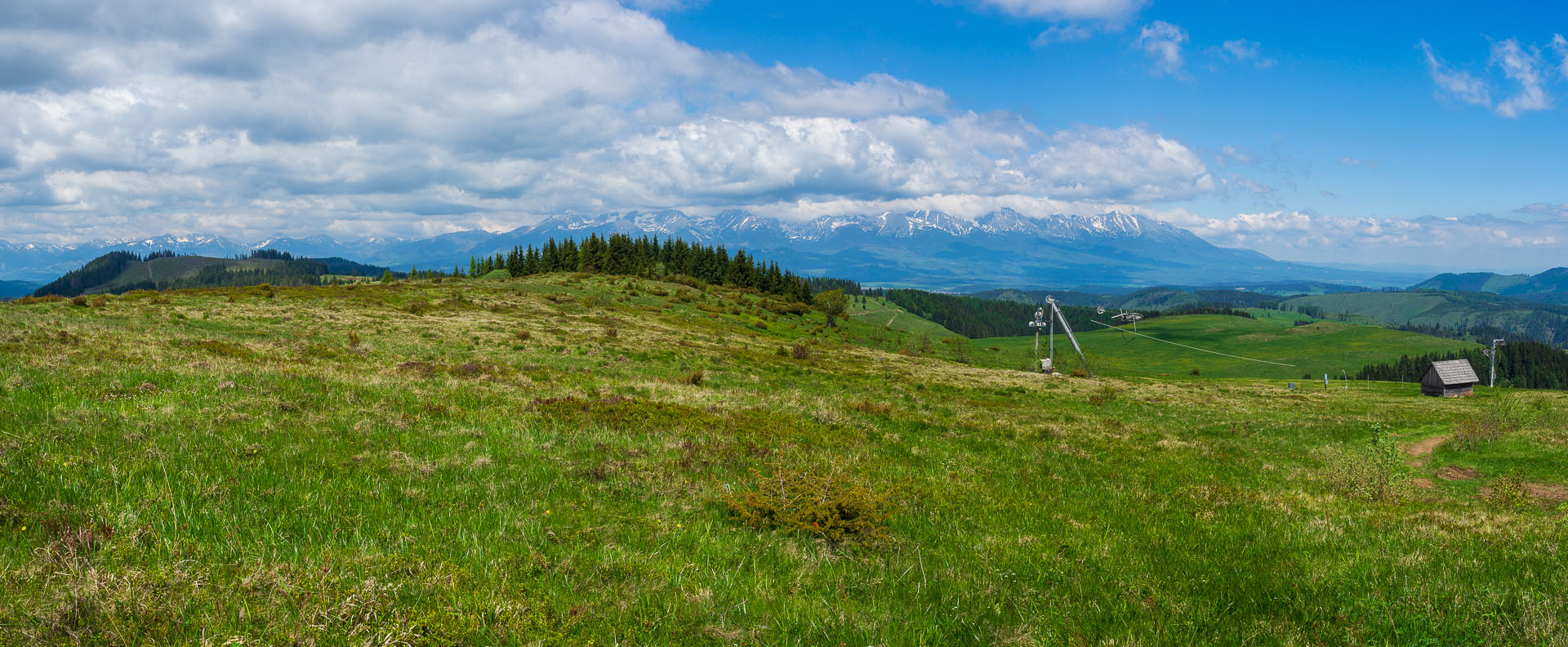 Smrečiny z Liptovskej Tepličky (Nízke Tatry)