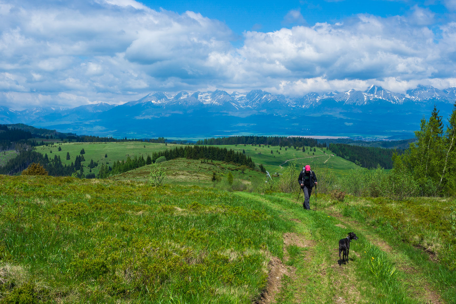 Smrečiny z Liptovskej Tepličky (Nízke Tatry)