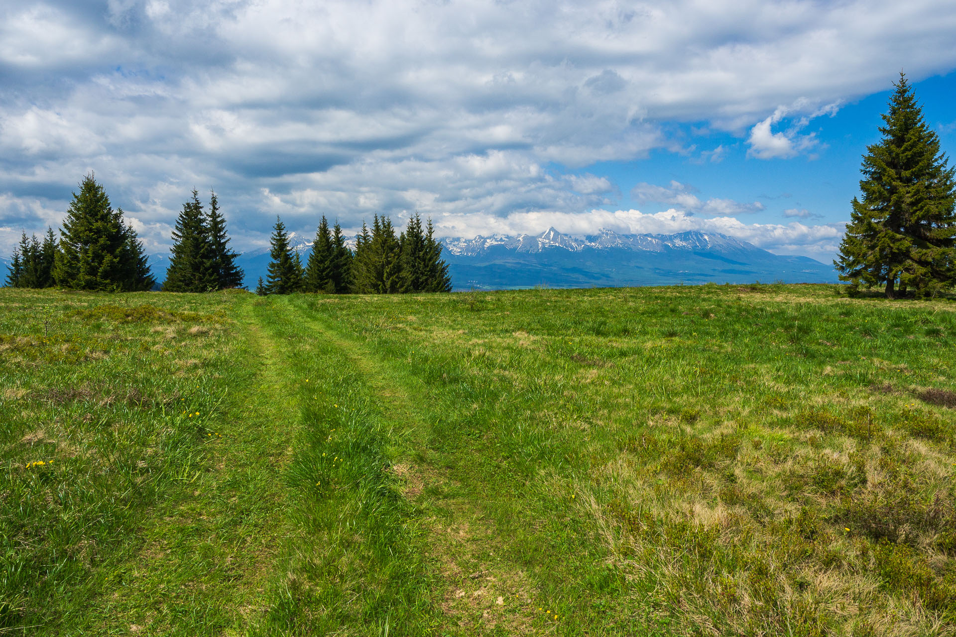 Smrečiny z Liptovskej Tepličky (Nízke Tatry)