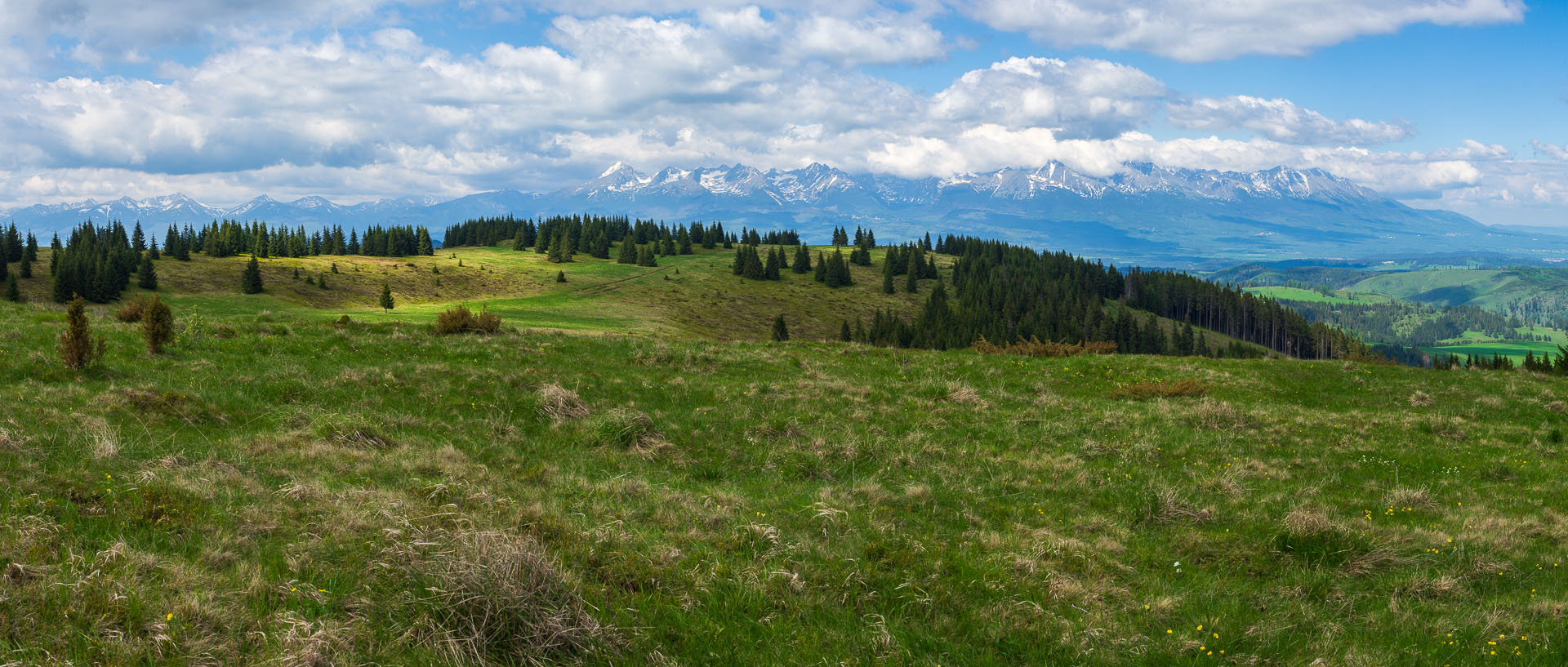 Smrečiny z Liptovskej Tepličky (Nízke Tatry)