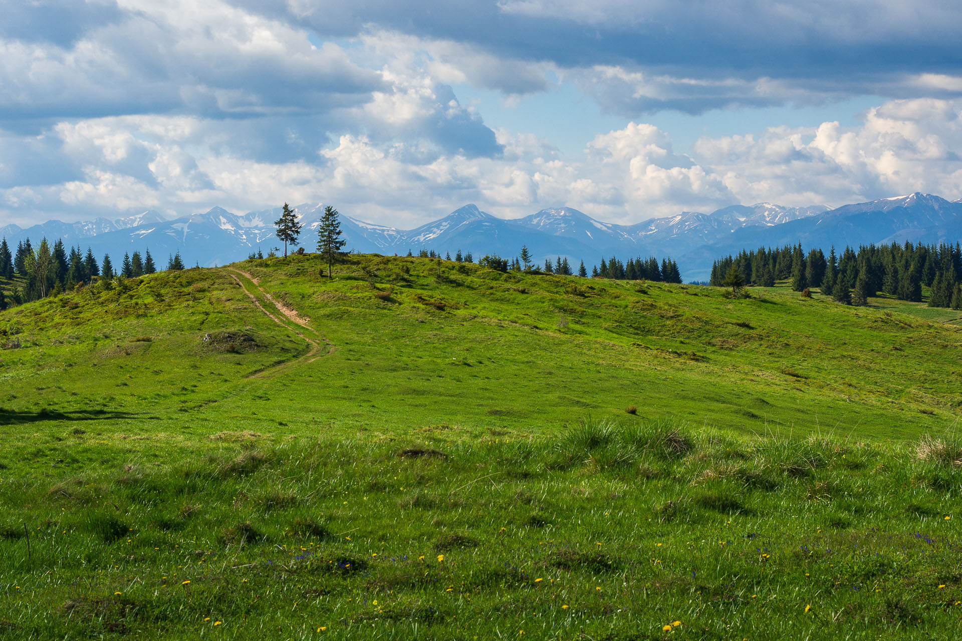 Smrečiny z Liptovskej Tepličky (Nízke Tatry)