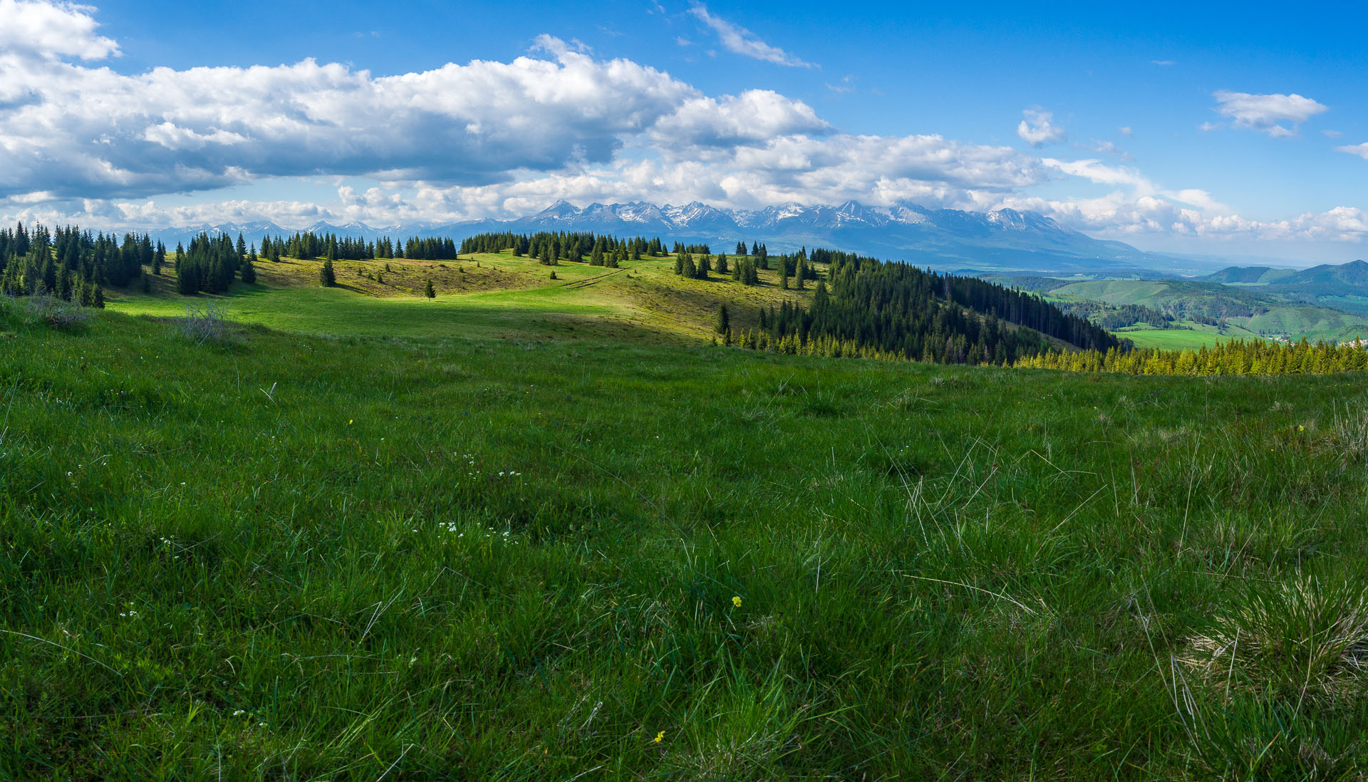 Smrečiny z Liptovskej Tepličky (Nízke Tatry)