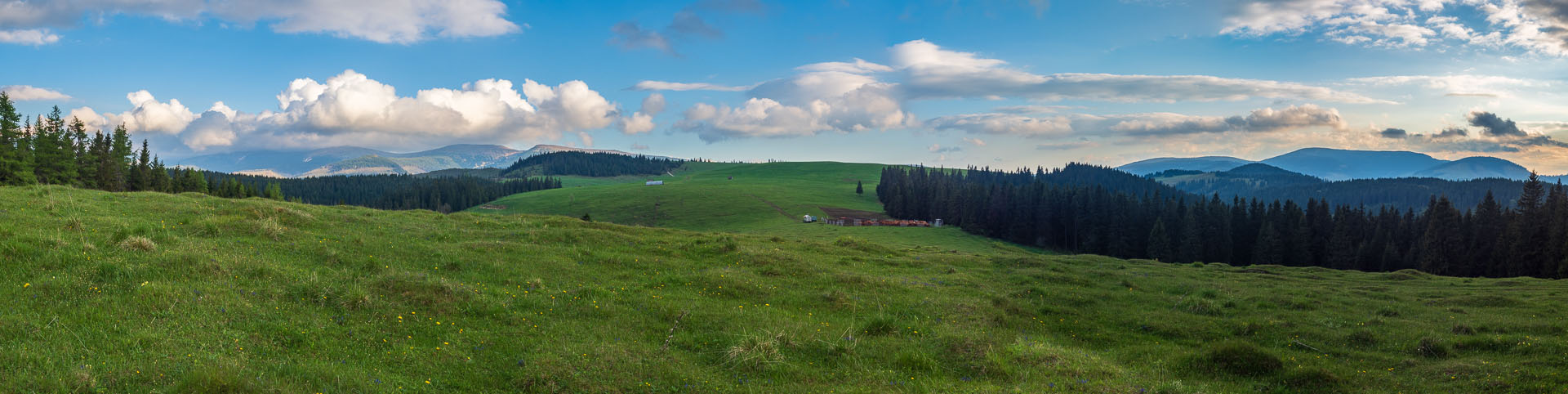 Smrečiny z Liptovskej Tepličky (Nízke Tatry)