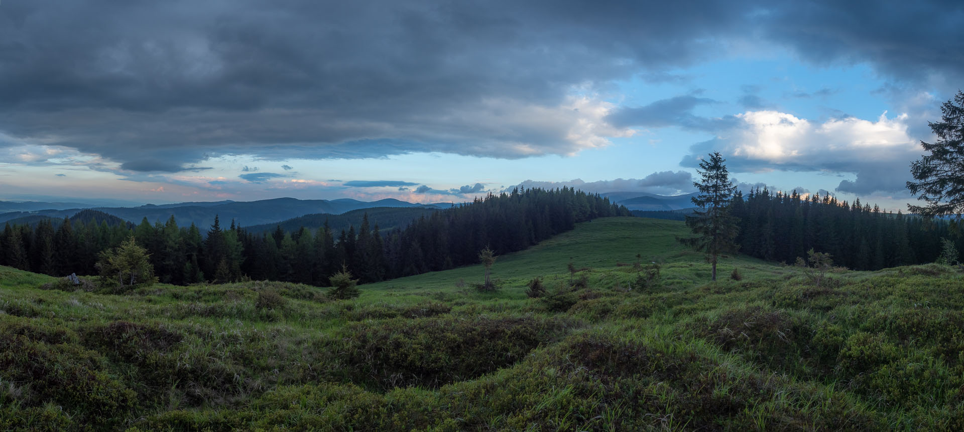 Smrečiny z Liptovskej Tepličky (Nízke Tatry)