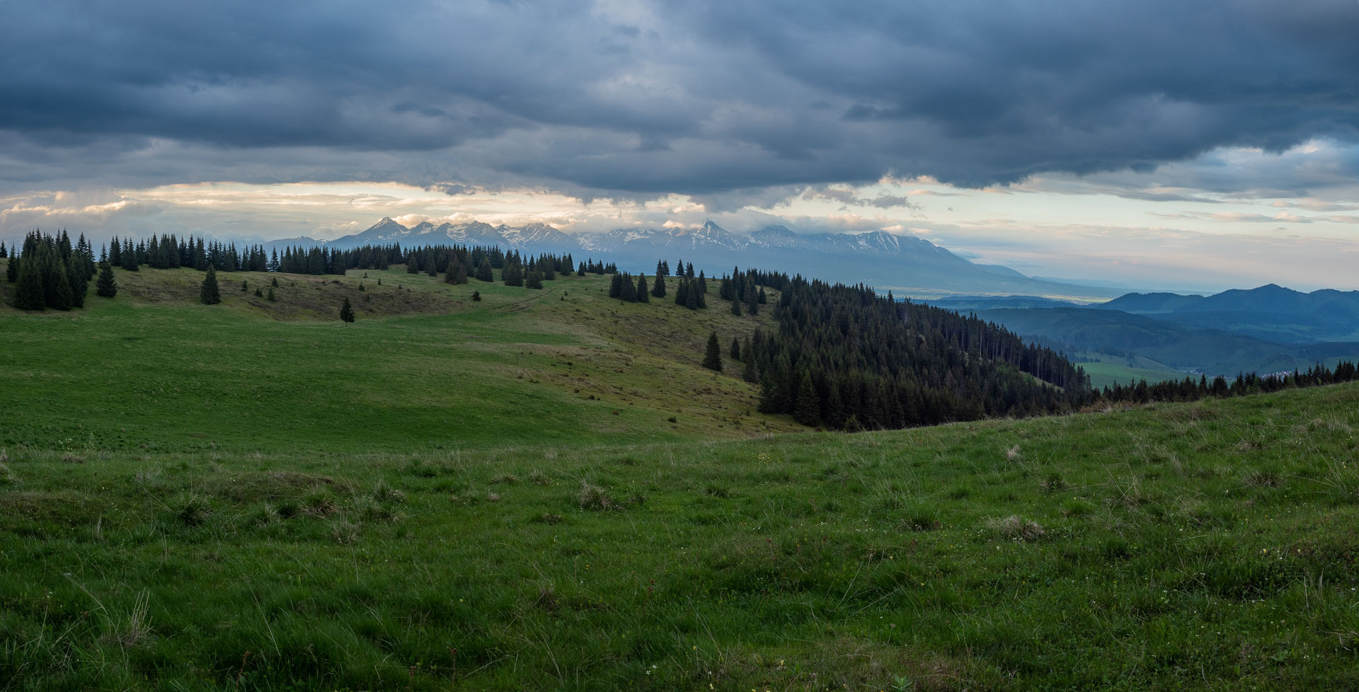 Smrečiny z Liptovskej Tepličky (Nízke Tatry)