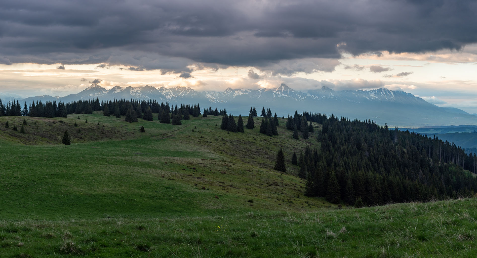 Smrečiny z Liptovskej Tepličky (Nízke Tatry)