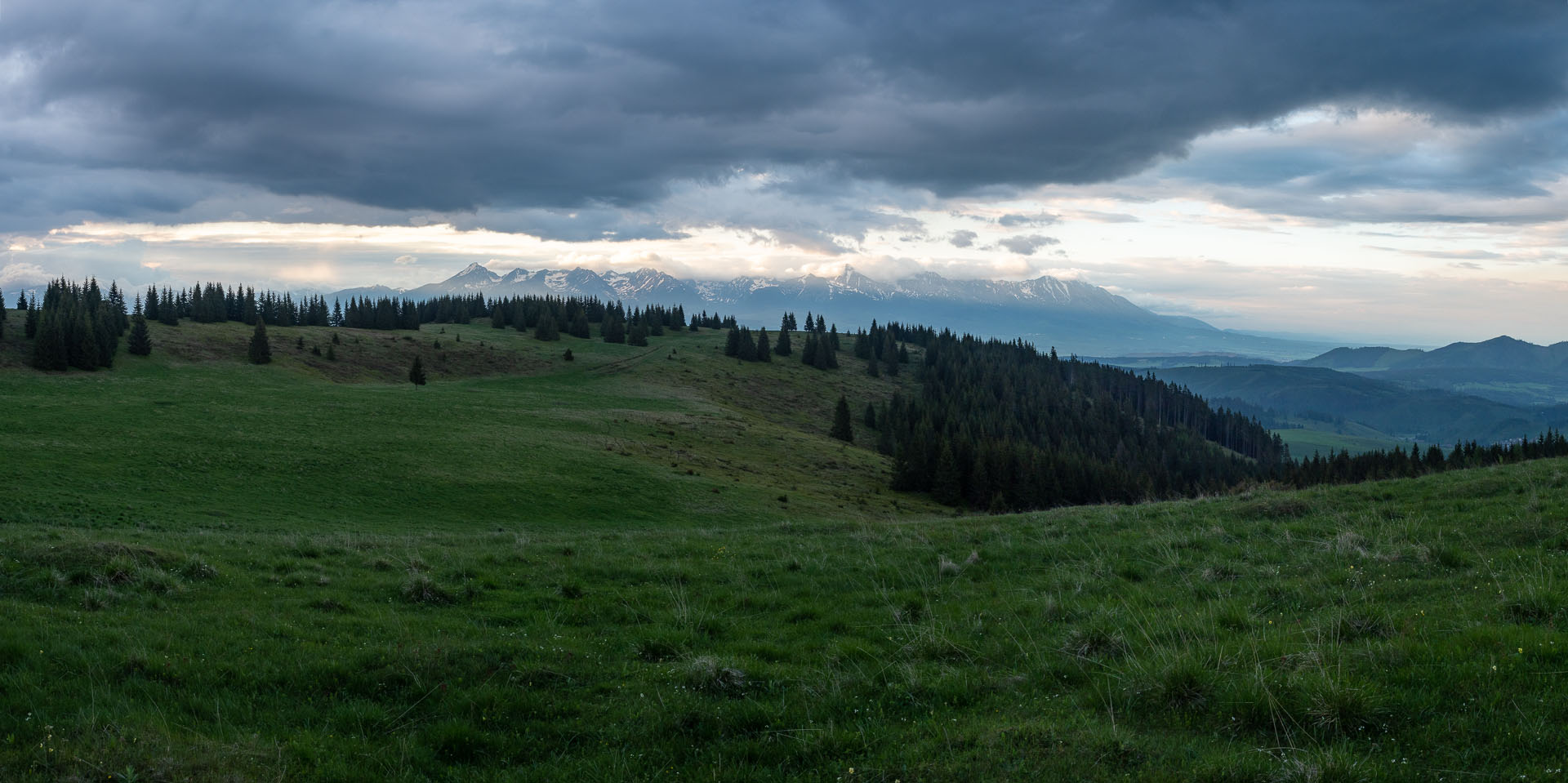 Smrečiny z Liptovskej Tepličky (Nízke Tatry)