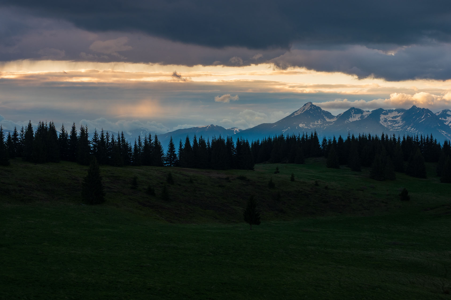 Smrečiny z Liptovskej Tepličky (Nízke Tatry)