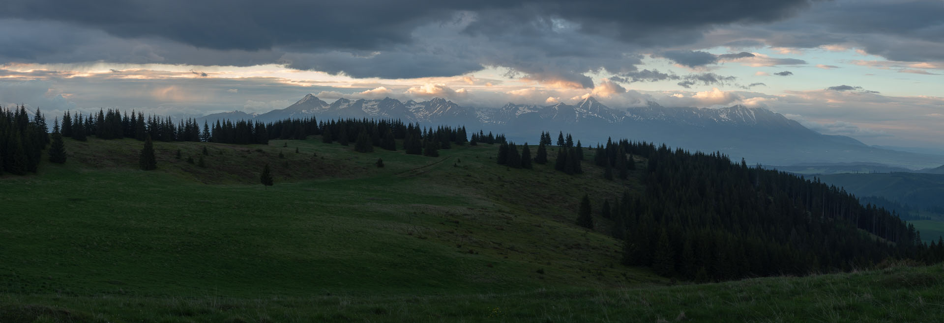 Smrečiny z Liptovskej Tepličky (Nízke Tatry)