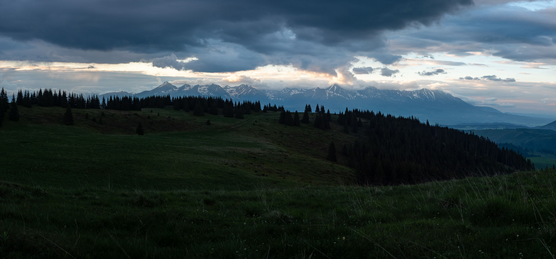 Smrečiny z Liptovskej Tepličky (Nízke Tatry)