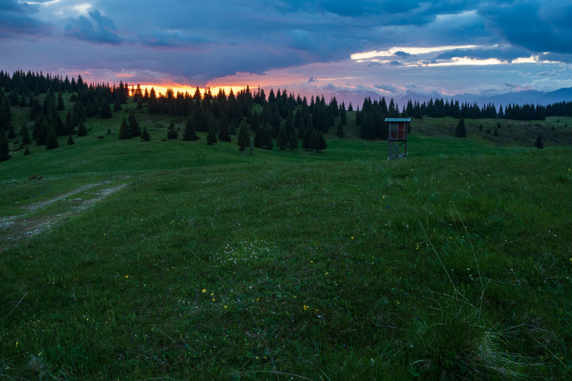 Smrečiny z Liptovskej Tepličky (Nízke Tatry)