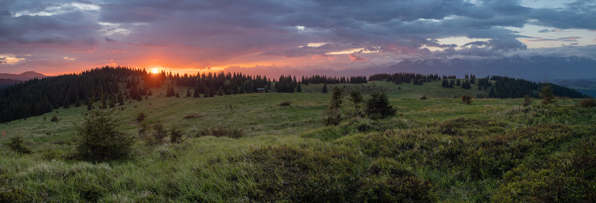 Smrečiny z Liptovskej Tepličky (Nízke Tatry)