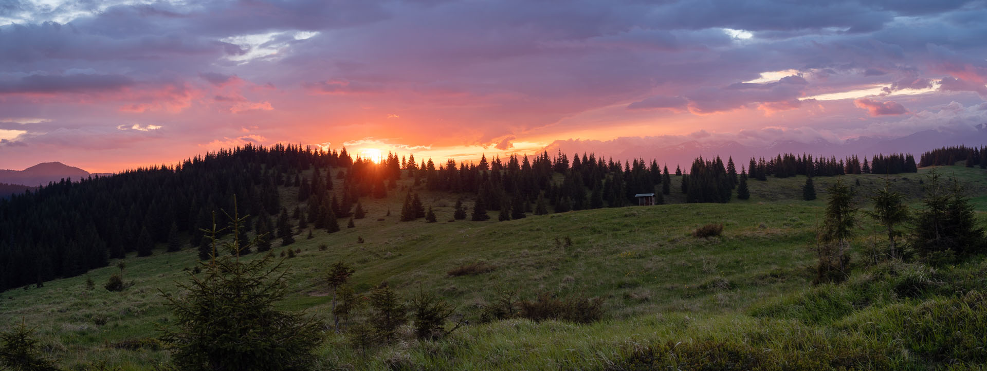 Smrečiny z Liptovskej Tepličky (Nízke Tatry)